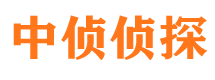 梁园市侦探调查公司